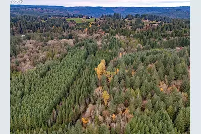 Nw Pumpkin Ridge Rd, North Plains, OR 97133 - Photo 10