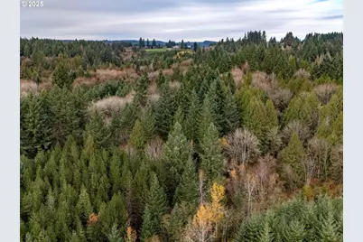 Nw Pumpkin Ridge Rd, North Plains, OR 97133 - Photo 12