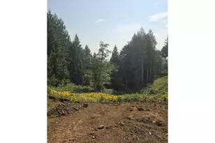 19045 Ochoco Ct, Sandy, OR 97055 - Photo 12