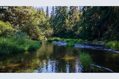 0 Sitkum #300, Myrtle Point, OR 97458 - Photo 6