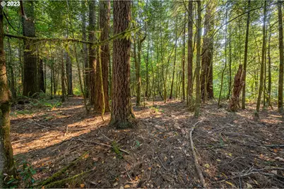 0 Sitkum #300, Myrtle Point, OR 97458 - Photo 8