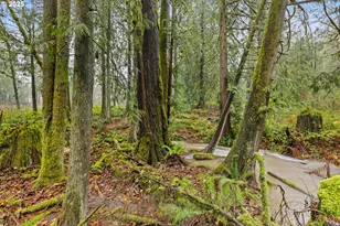 34321 SE Colorado Rd, Sandy, OR 97055 - Photo 44