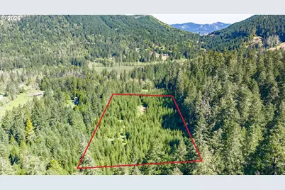 Berry Creek Rd, Winston, OR 97496 - Photo 2