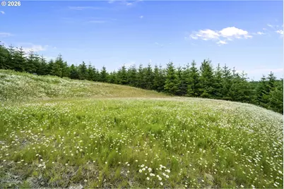 104 Bootjack Ln, Kelso, WA 98626 - Photo 16