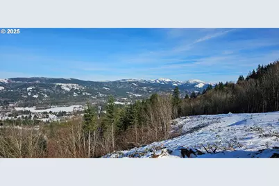 Nw 389th St, Woodland, WA 98674 - Photo 16