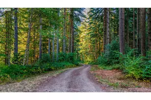 NW 389th St, Woodland, WA 98674 - Photo 1