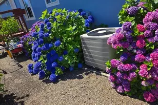 2723 Oakland Loop, Salem, OR 97317 - Photo 30