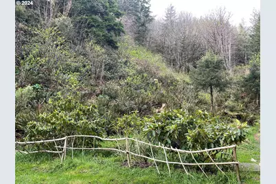 83126 Siltcoos Station Rd, Westlake, OR 97493 - Photo 24