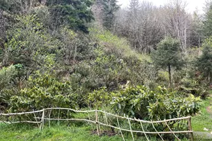 83126 Siltcoos Station Rd, Westlake, OR 97493 - Photo 24