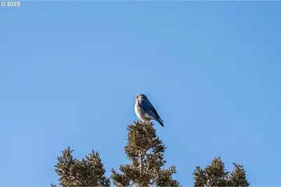16368 SW Hat Rock Loop, Powell Butte, OR 97753 - Photo 42