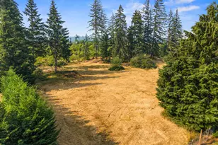 27053 S Shibley Rd, Colton, OR 97017 - Photo 12