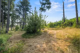 27053 S Shibley Rd, Colton, OR 97017 - Photo 36