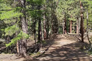 [Address not provided], Sumpter, OR 97877 - Photo 24