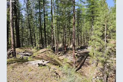 [Address not provided], Sumpter, OR 97877 - Photo 32