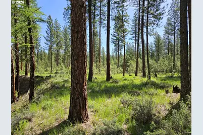 [Address not provided], Sumpter, OR 97877 - Photo 34