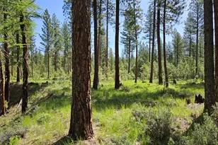 [Address not provided], Sumpter, OR 97877 - Photo 34