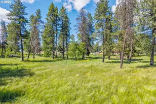 18 Lakeside Rd, Glenwood, WA 98619 - Photo 12