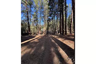 455 E Auburn St, Sumpter, OR 97877 - Photo 24