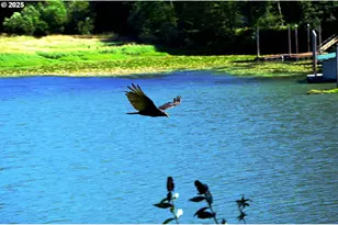 2647 S Tenmile, Lakeside, OR 97449 - Photo 42