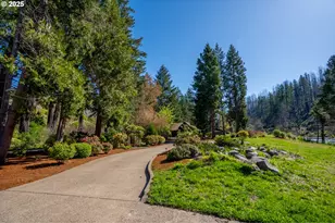 46836 McKenzie Hwy, Vida, OR 97488 - Photo 18