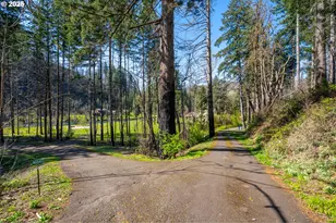 46836 McKenzie Hwy, Vida, OR 97488 - Photo 4