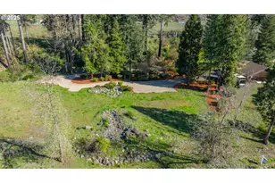 46836 McKenzie Hwy, Vida, OR 97488 - Photo 2