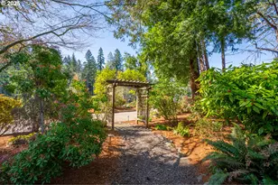 46836 McKenzie Hwy, Vida, OR 97488 - Photo 14