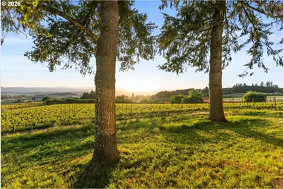 8810 NE Blackburn Rd, Yamhill, OR 97148 - Photo 34