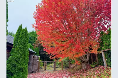 2499 Pine Ridge Dr, Gearhart, OR 97138 - Photo 46