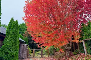 2499 Pine Ridge Dr, Gearhart, OR 97138 - Photo 46