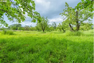 572 Dillard Gardens Rd, Winston, OR 97496 - Photo 18