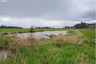 0 Applegate, Junction City, OR 97448 - Photo 20
