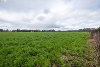 0 Applegate, Junction City, OR 97448 - Photo 12