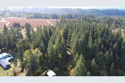 29254 SE Hillyard Dr, Boring, OR 97009 - Photo 8