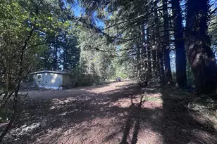 29254 SE Hillyard Dr, Boring, OR 97009 - Photo 4