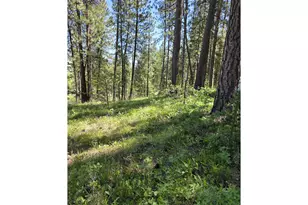 31112 Sparta Ln, Baker City, OR 97814 - Photo 12