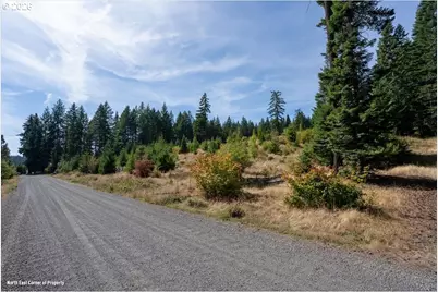 Moore Rd, White Salmon, WA 98672 - Photo 8