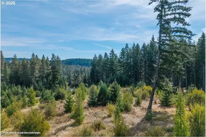 Moore Rd, White Salmon, WA 98672 - Photo 10
