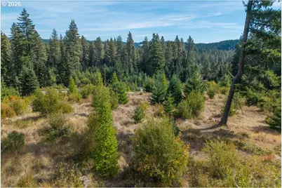 Moore Rd, White Salmon, WA 98672 - Photo 28