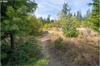 Moore Rd, White Salmon, WA 98672 - Photo 36