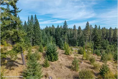 Moore Rd, White Salmon, WA 98672 - Photo 24