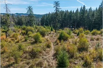 Moore Rd, White Salmon, WA 98672 - Photo 32
