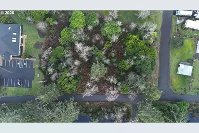 25502 Park Ave, Ocean Park, WA 98640 - Photo 2