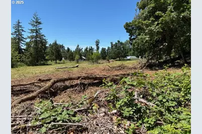 38521 Jasper Lowell Rd, Fall Creek, OR 97438 - Photo 10