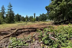 38521 Jasper Lowell Rd, Fall Creek, OR 97438 - Photo 10