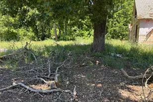 38521 Jasper Lowell Rd, Fall Creek, OR 97438 - Photo 6