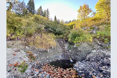 W Williams Creek Rd, Williams, OR 97544 - Photo 8