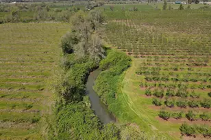 34974 Richardson Gap Rd, Lebanon, OR 97355 - Photo 10