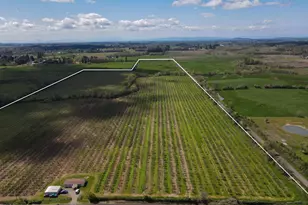 34974 Richardson Gap Rd, Lebanon, OR 97355 - Photo 6