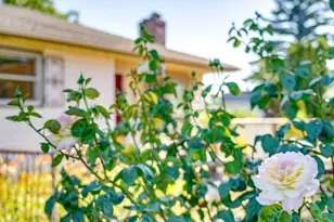 7515 SE Luther Rd, Portland, OR 97206 - Photo 36